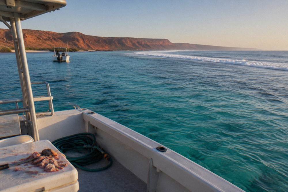 A whale shark boat anchored near the Ningaloo Reef edge on a clear day